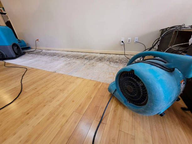 Professional Burst Pipe Water Damage technician working in Breckenridge, TX
